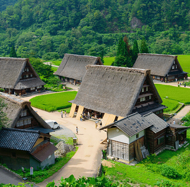 モダン建築の保存・維持活動